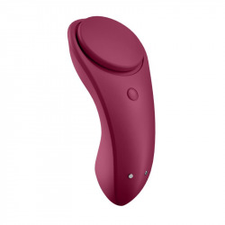 Satisfyer Sexy Secret Panty con App