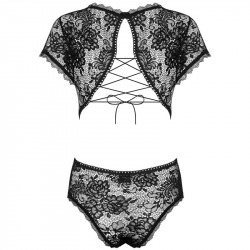 Peonesia Teddy