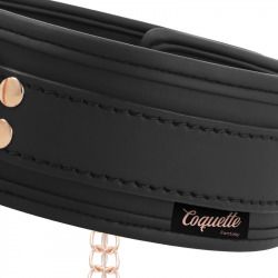 Fantasy Collar con Pinzas Pezones