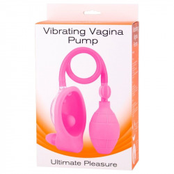 Bomba Vibradora Vagina Rosa
