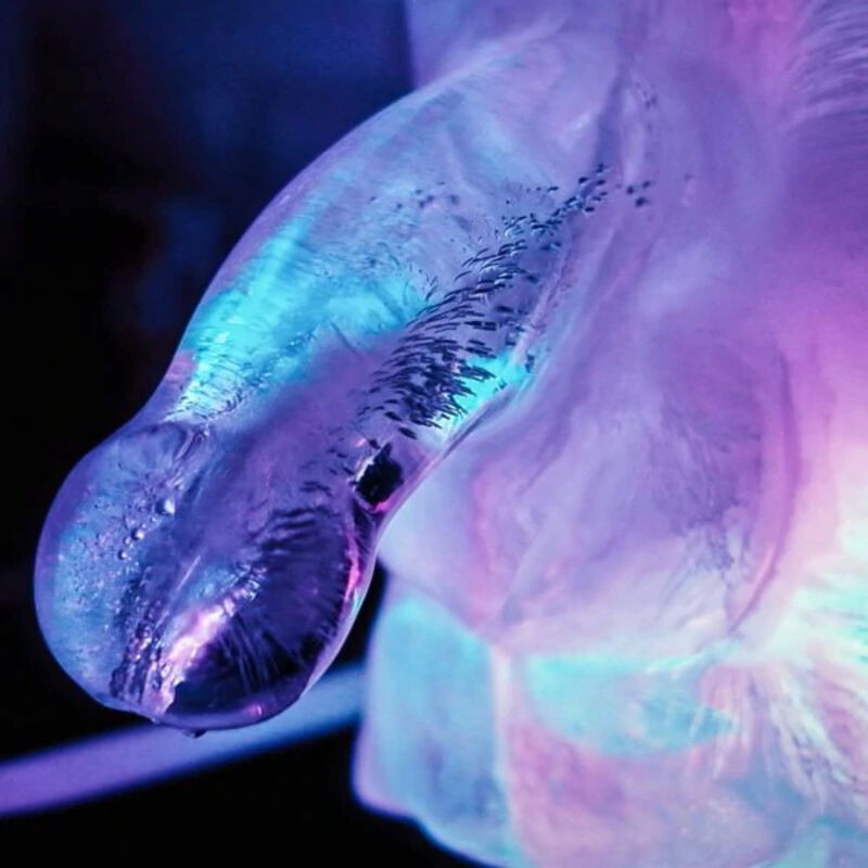 Ice Luge Enorme Pene Congelado