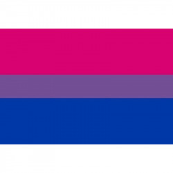 Bandera Bisexual