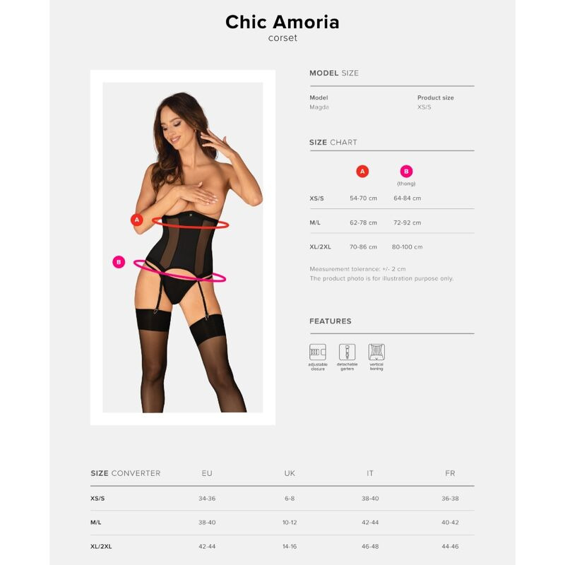 Chic Amoria Corset & Tanga