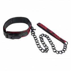 Collar con Correa