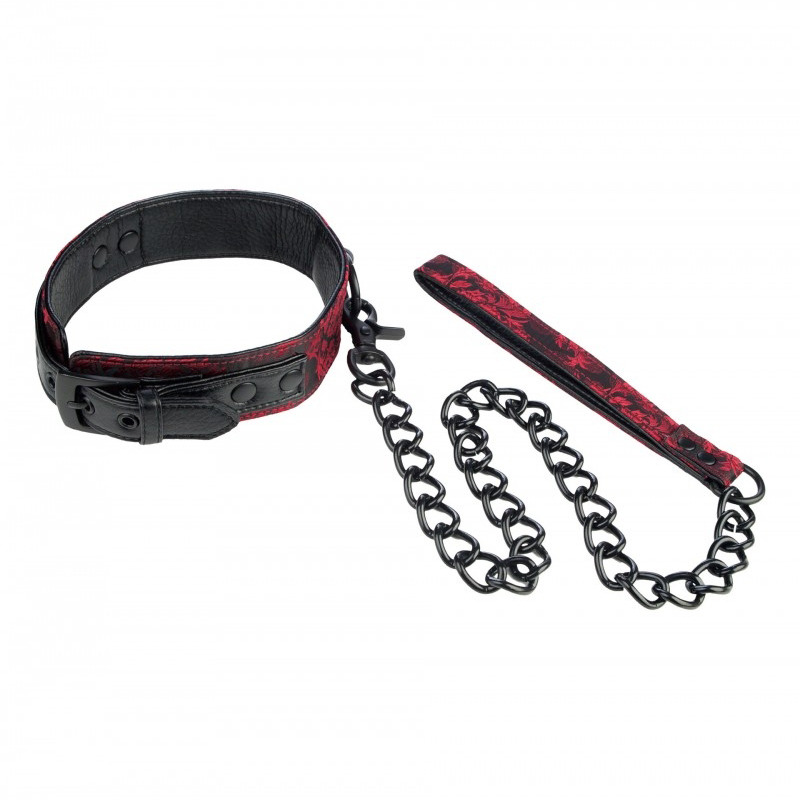 Collar con Correa
