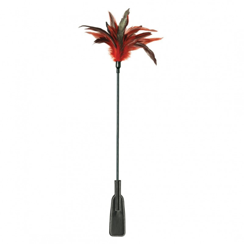 Azotador Plumas