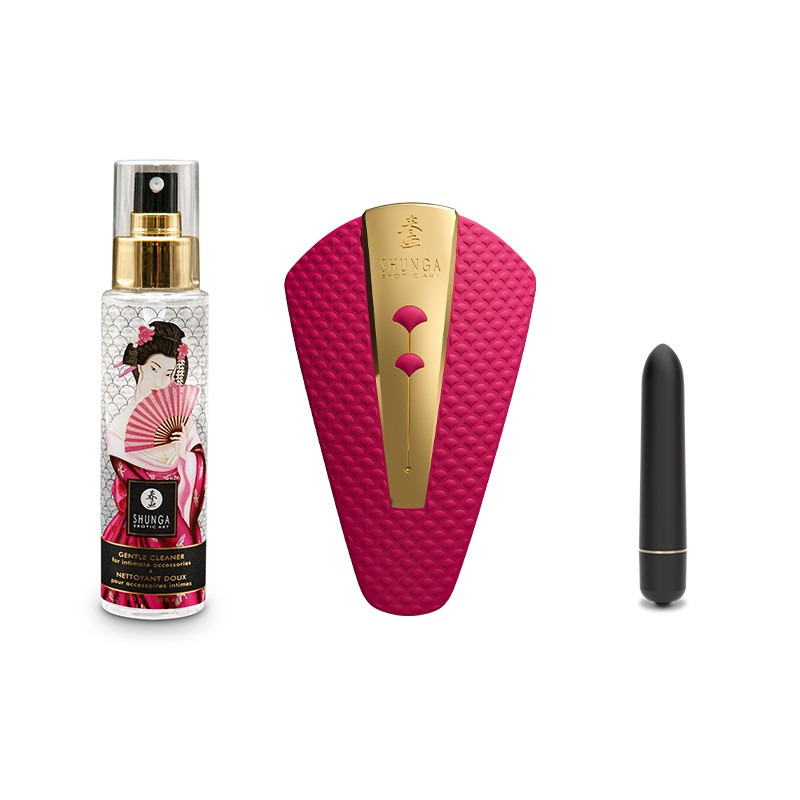 Shunga Calendario Adviento Desires
