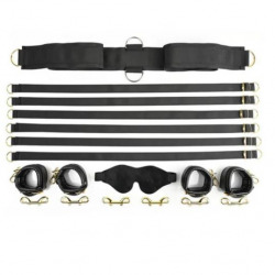 Special Edition Under The Bed Restraint System