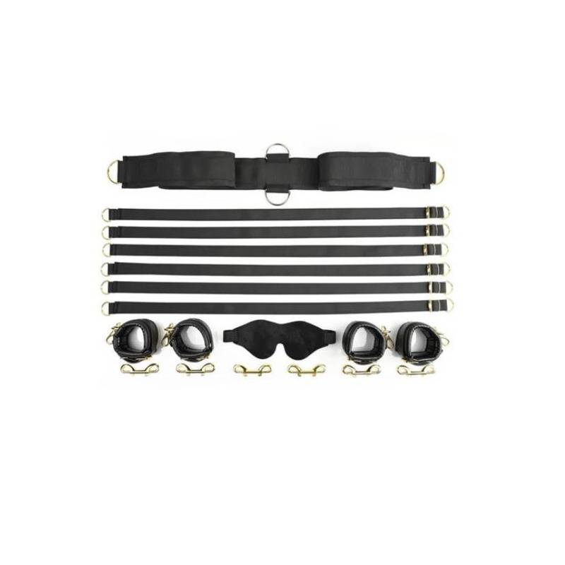 Special Edition Under The Bed Restraint System