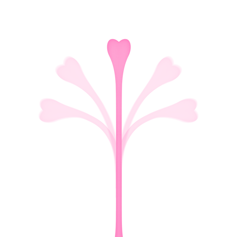 Set 5 Bolas Ejercicio Kegel