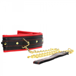 Collar con Correa Esponja Modelo 2