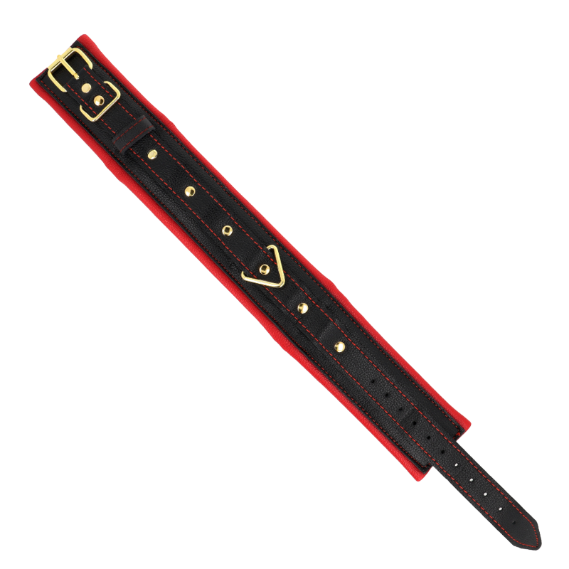 Collar con Correa de Tejido Liso Ajustable