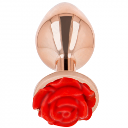 Plug Anal Oro Rosado Rosa Roja Talla L