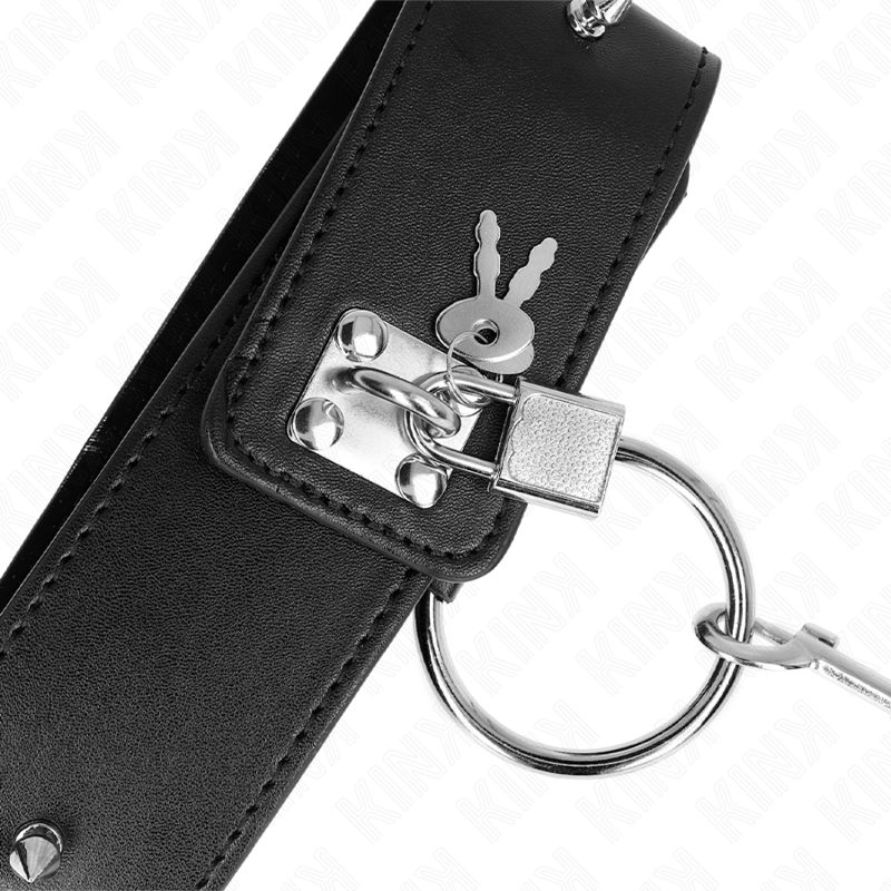 Collar con Correa con Tachuelas Plateadas Modelo 2