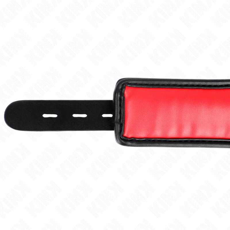 Collar con Correa Esponja Modelo 3