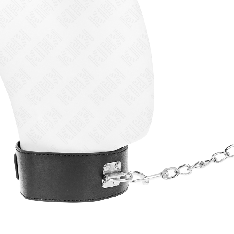 Collar con Correa Modelo Básico 2