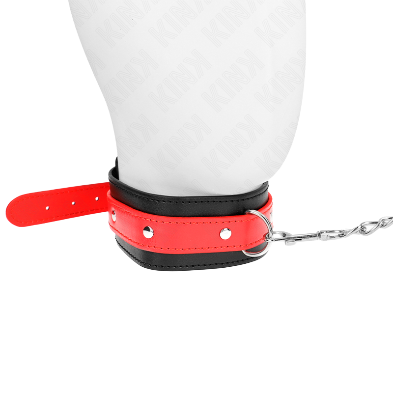 Collar Con Correa Rojo