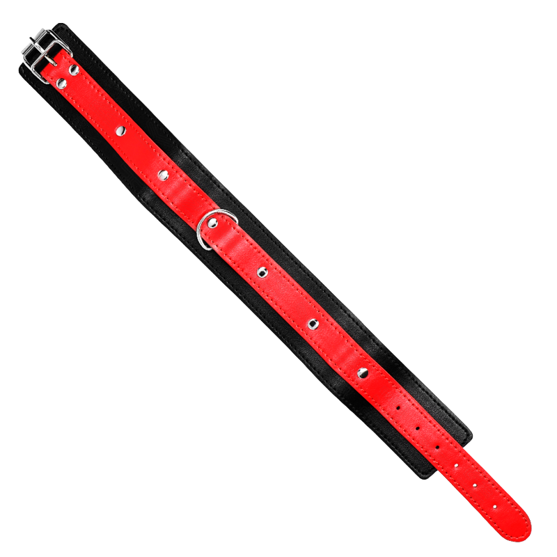 Collar Con Correa Rojo