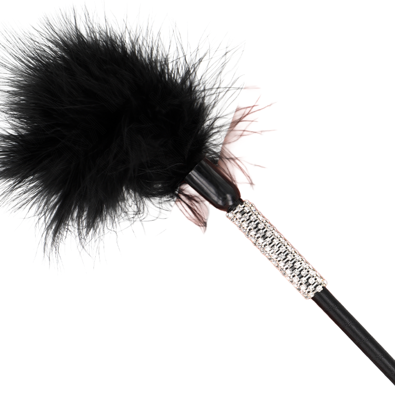 Plumas con Mango de Diamantes