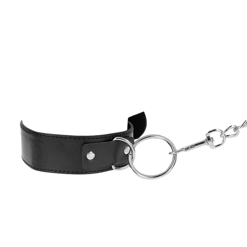Collar con Correa Modelo Básico 4