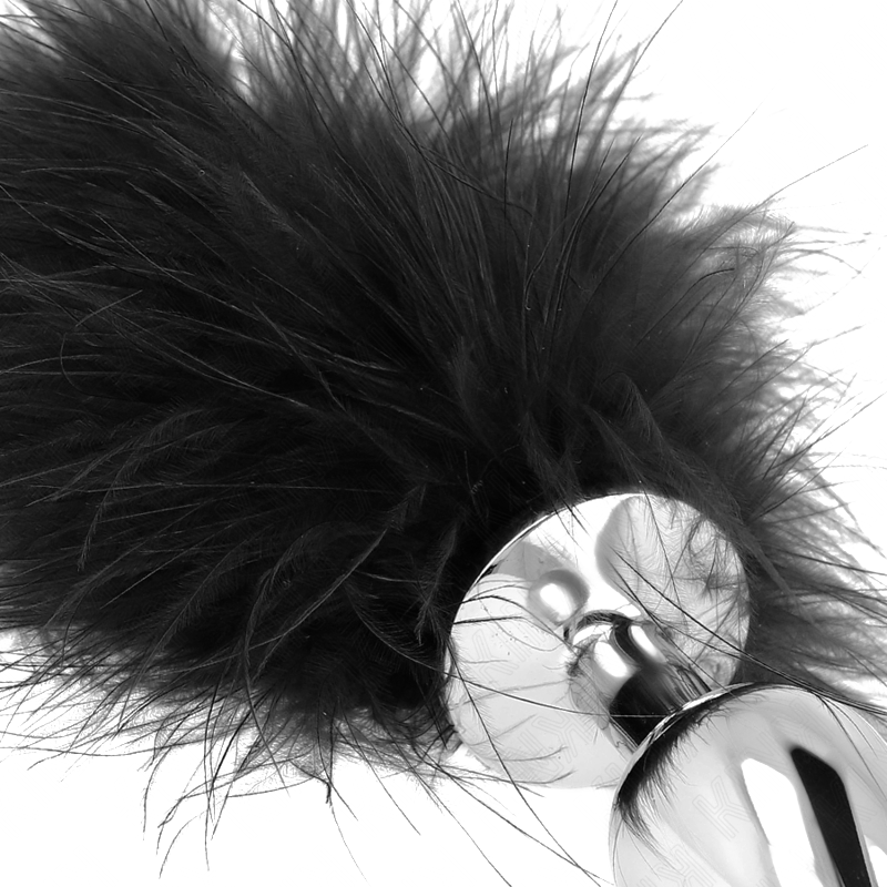 Plug Anal con Pluma