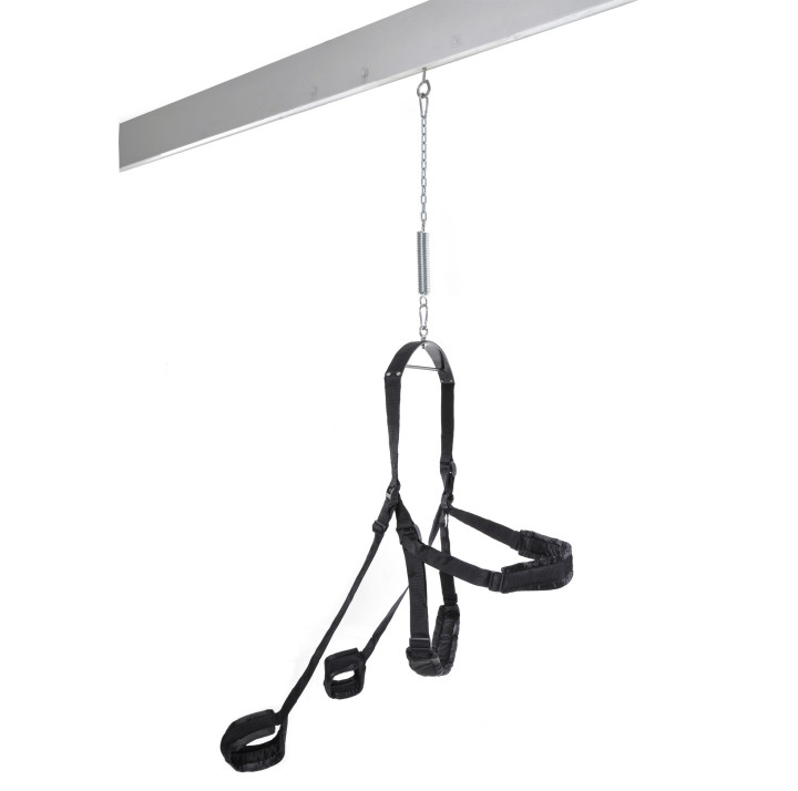 Fetish Fantasy Columpio Fantasy Negro