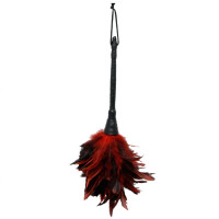 Pluma Estimuladora Roja Fetish Fantasy