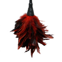 Pluma Estimuladora Roja Fetish Fantasy