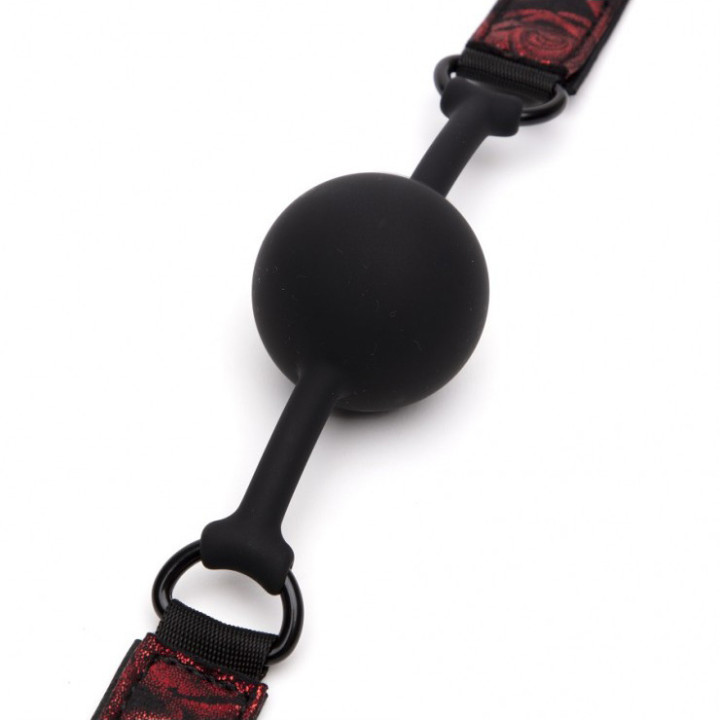 Sweet Anticipation Ball Gag