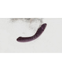 Womanizer OG Aubergine Punto G