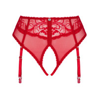 Dagmarie Panties con Liguero