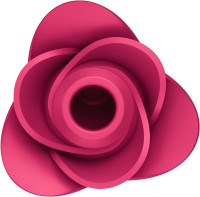 Pro 2 Modern Blossom