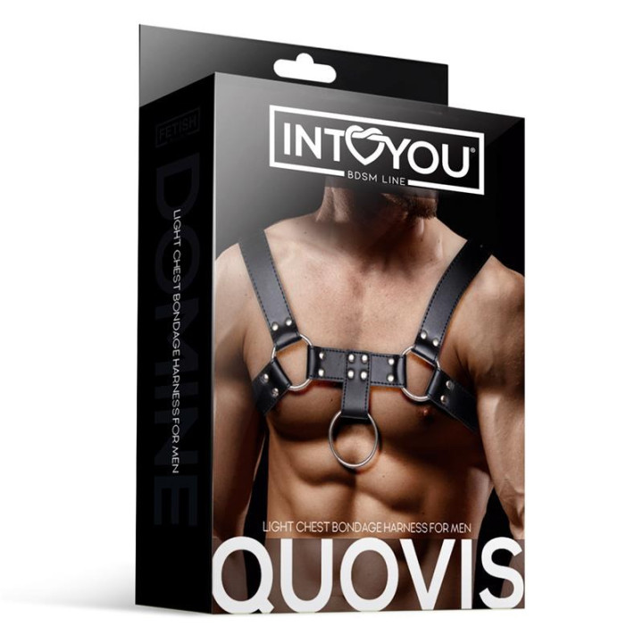 Quovis Arnés Masculino para Bondage