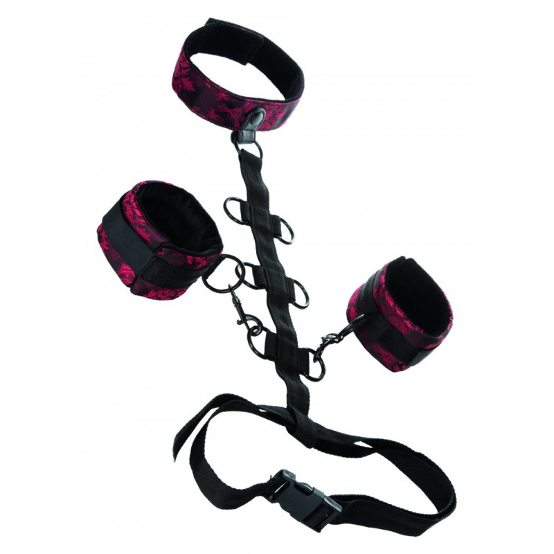 Ataduras Cuerpo Collar