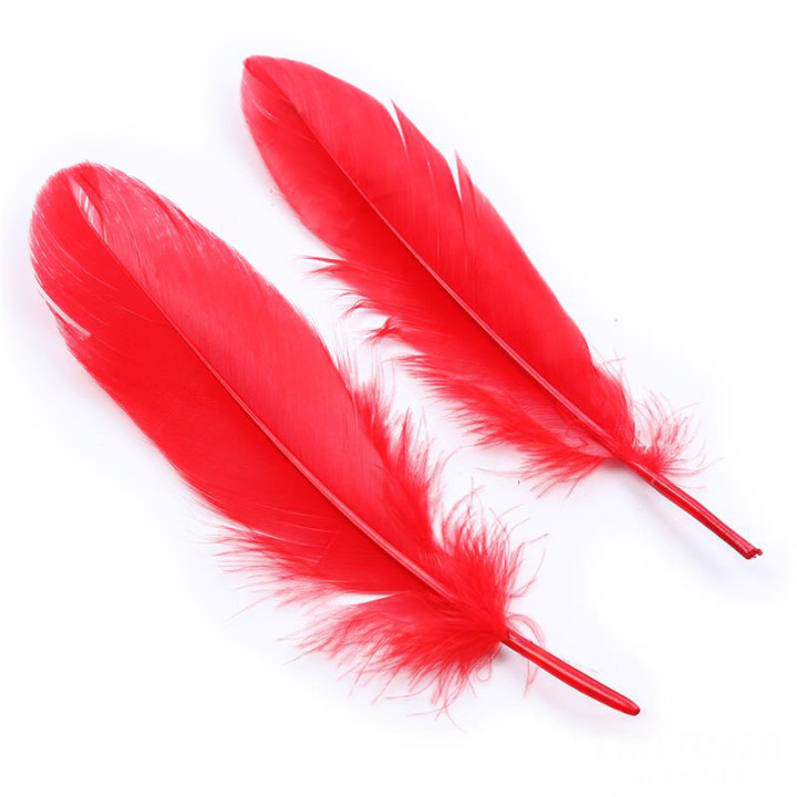 Set de 3 Piezas Antifaz, Plumas y Esposas