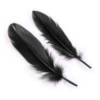 Set de 3 Piezas Antifaz, Esposas y Plumas Negro