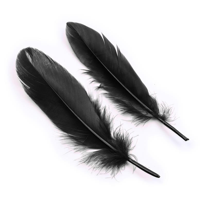 Set de 3 Piezas Antifaz, Esposas y Plumas Negro