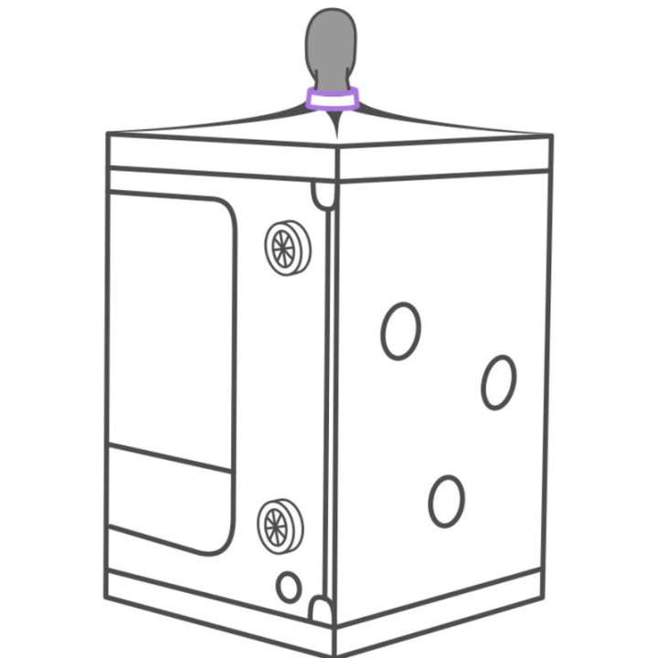 Kink Club Cabina Scandale Morado