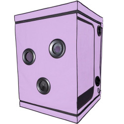 Kink Club Cabina Scandale Morado