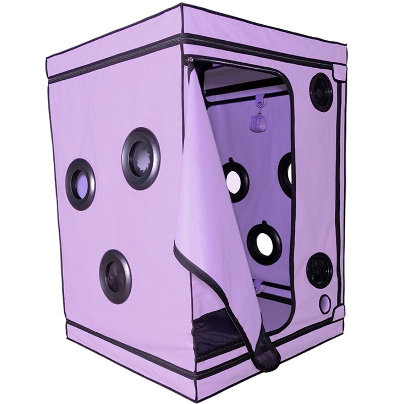Kink Club Cabina Scandale Morado