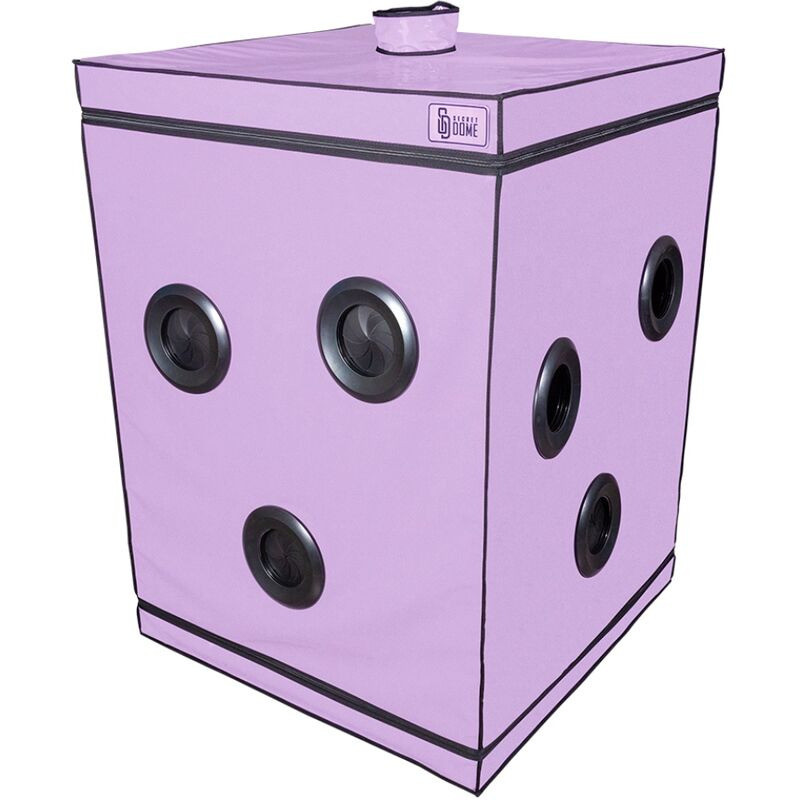 Kink Club Cabina Scandale Morado