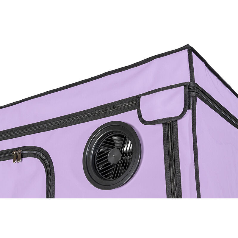 Kink Club Cabina Scandale Morado