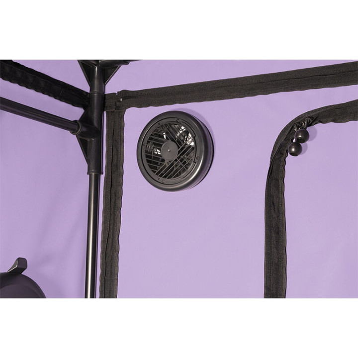 Kink Club Cabina Scandale Morado