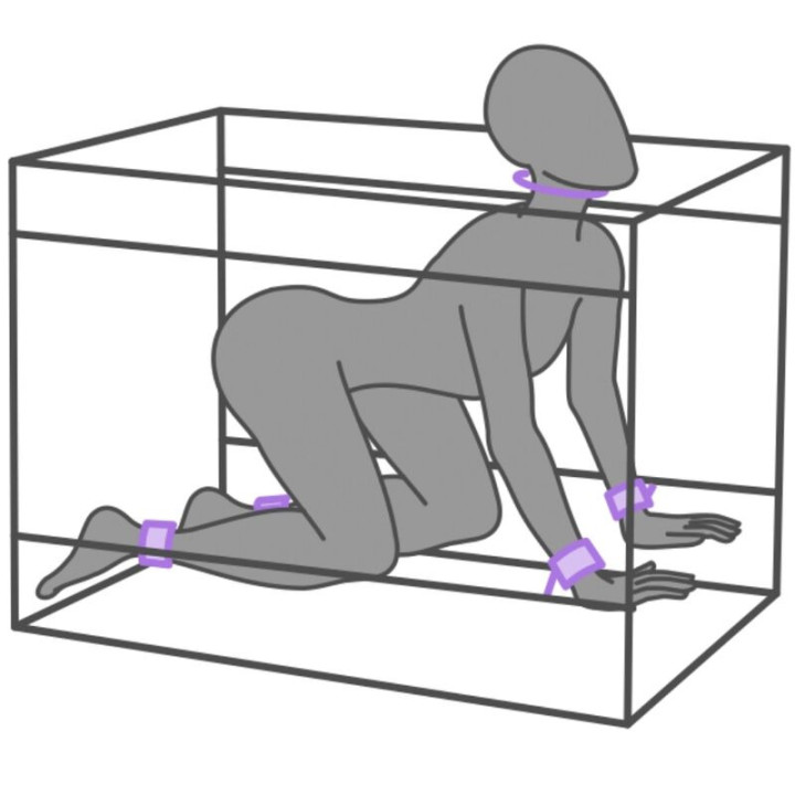 Kink Club La Niche Cabina Morado