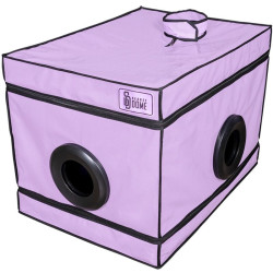 Kink Club La Niche Cabina Morado