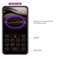 Fisherman Huevo Vibrador Lila App