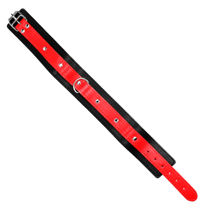 Collar Con Correa Rojo