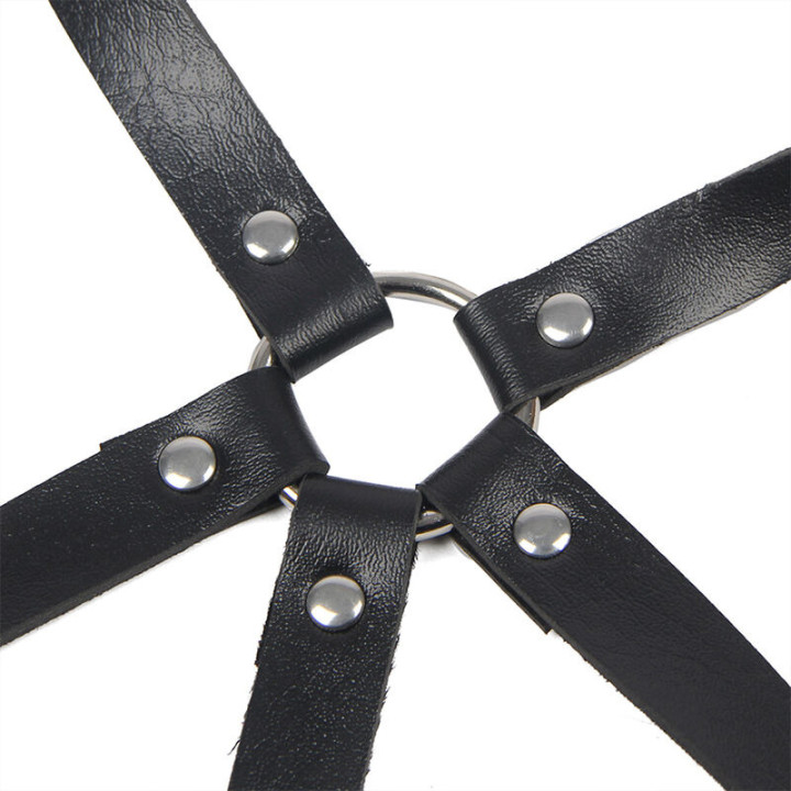 Arnés de Pecho con Anillas Negro
