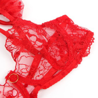 Conjunto Sujetador y Liga de Encaje Rojo