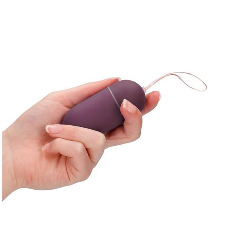 Big purple vibrator egg 10-speed